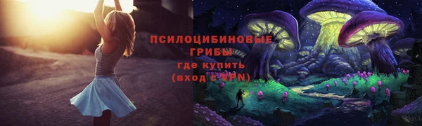 тгк Арсеньев